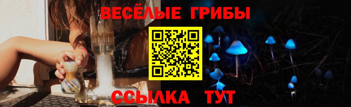 Псилоцибиновые грибы Magic Shrooms  Вход с VPN  продажа наркотиков  Надым 